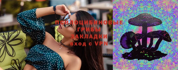 таблы Алзамай