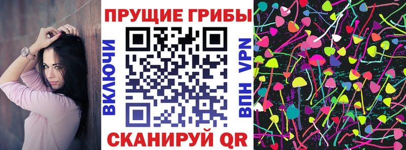 Галлюциногенные грибы Psilocybine cubensis  Копейск 