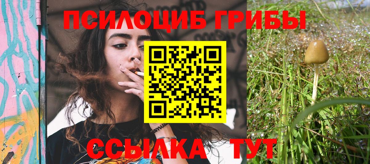 Псилоцибиновые грибы Psilocybine cubensis  Вход с VPN  Копейск  Псилоцибиновые грибы Cubensis 