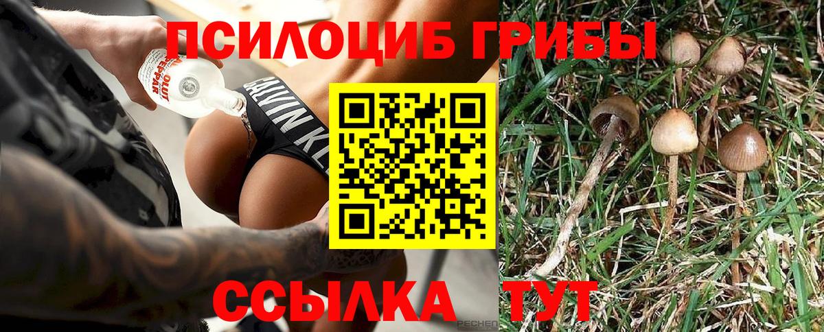 Галлюциногенные грибы мухоморы Копейск